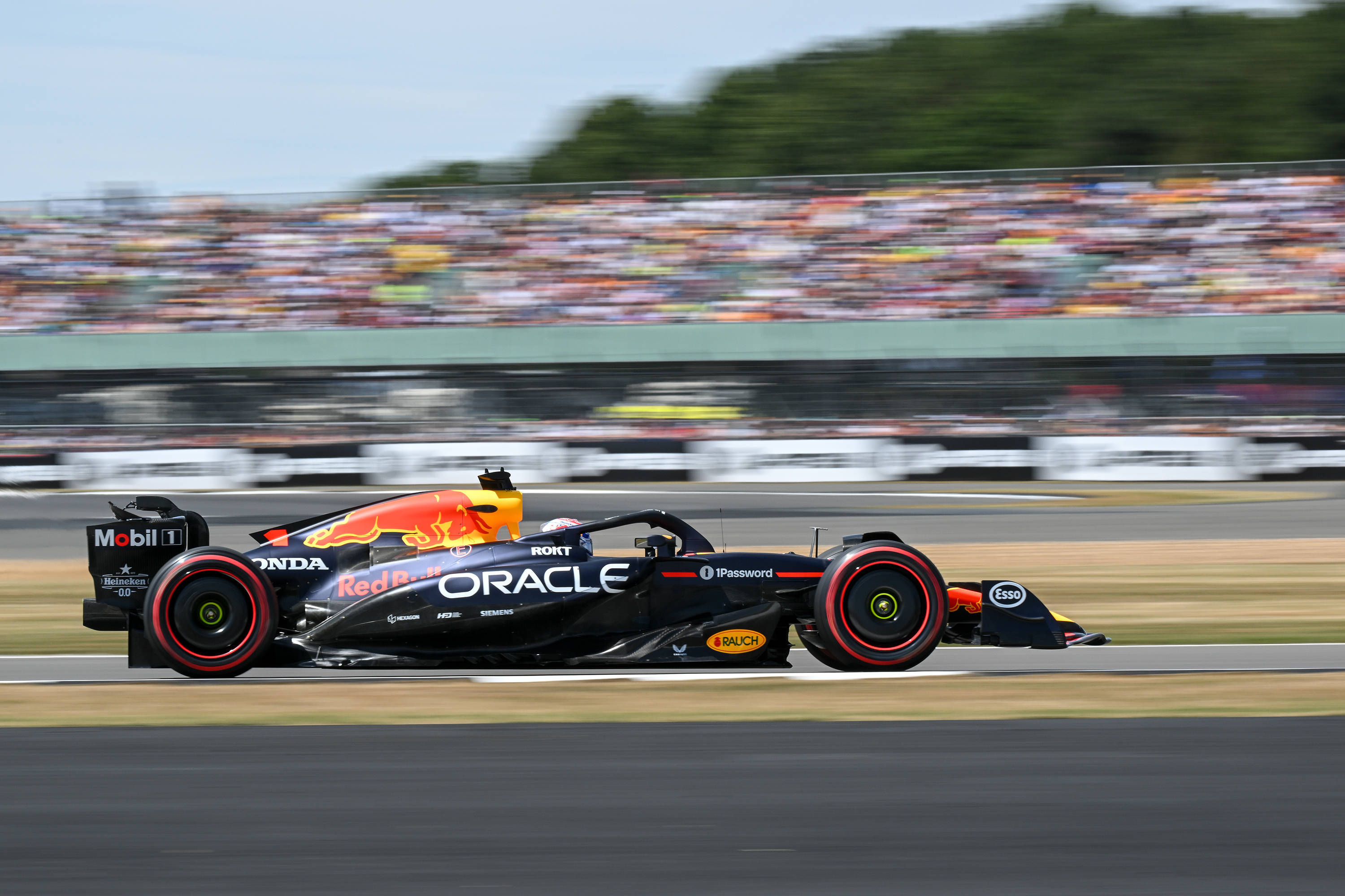 开云体育官方网站-哈斯车队碾压红牛车队，塞恩斯扛起全队  第2张